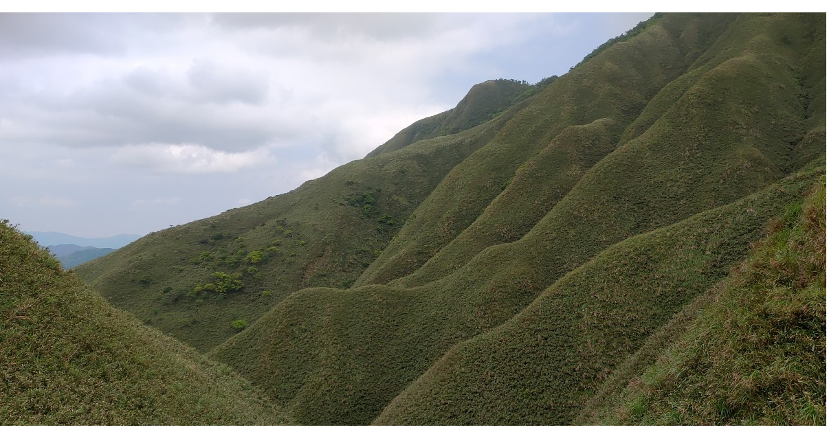 宜蘭抹茶山